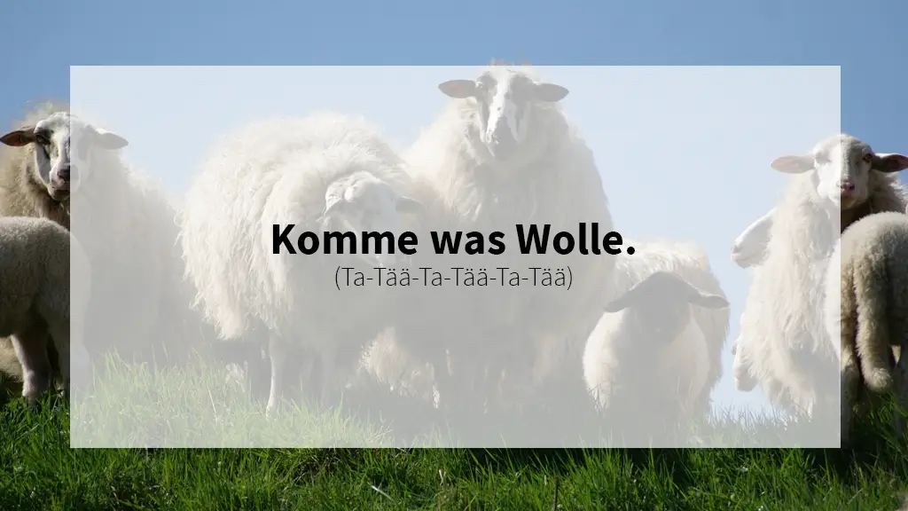 Schafe mit einem Dad-Joke